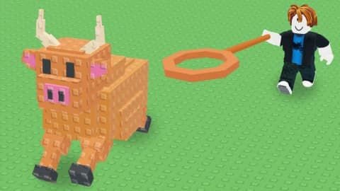 Lasso Animals🤠