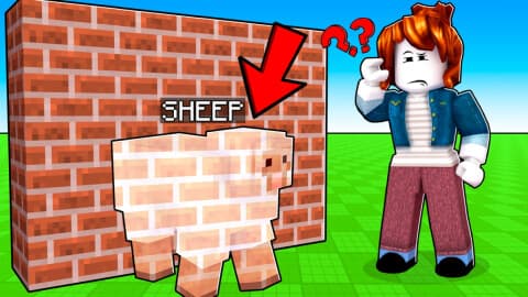 Find All Pet thumbnail