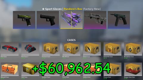 Case Opening Simulator