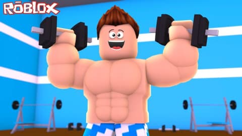 MUSCLE SIMULATOR