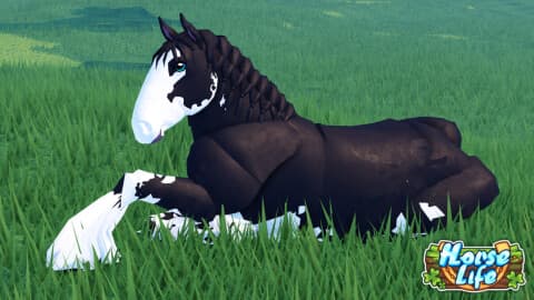 🏇 Horse Life 🐎