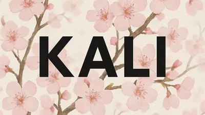 Preview of Kali Hub | UF, RISE OF NATIONS, BBL, BLOOD DEBT