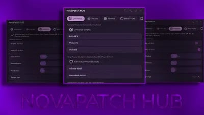 Preview of NovaPatch Hub