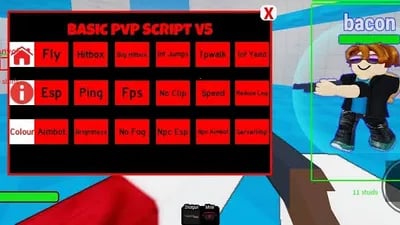 Preview of Basic PvP Script