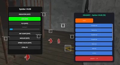 Preview of GRANNY - Spider HUB