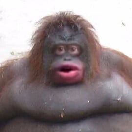 Script preview thumbnail