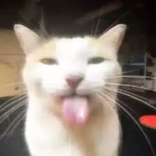 Script preview thumbnail