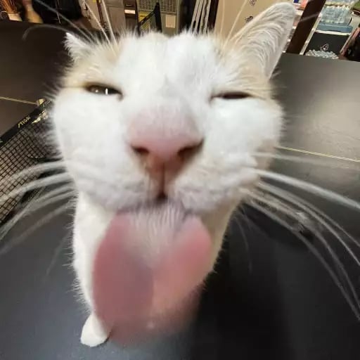 Script preview thumbnail