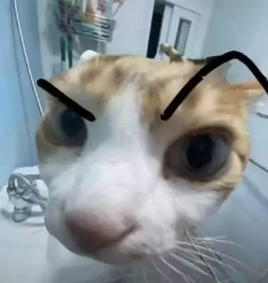 Script preview thumbnail