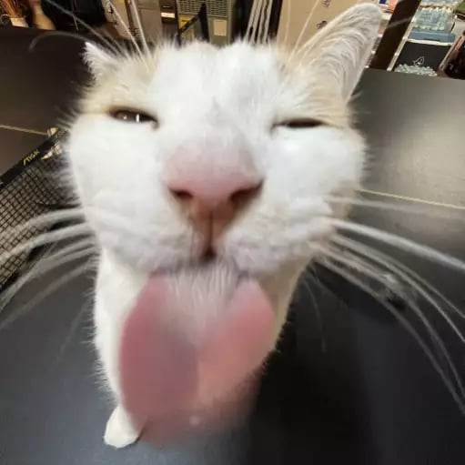 Script preview thumbnail