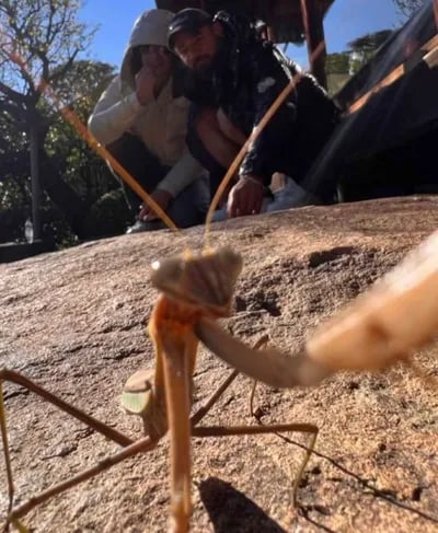 Script preview thumbnail