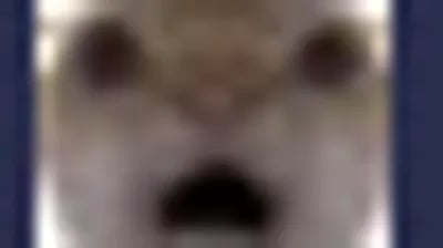 Script preview thumbnail